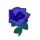 blue_rose