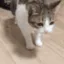 :MA_Now: