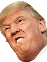 trump_fuc