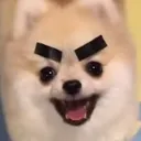 AngeryBoye
