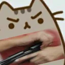 Gun