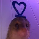 o_ o_