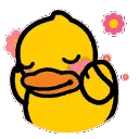 DuckAwww