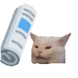 bonkCat
