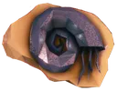 Fossil Fossil