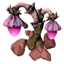 StarchNut StarchNut