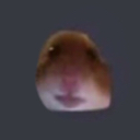:hamster: Discord Emote