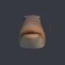 :fish: Discord Emote