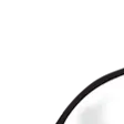 ggbrFattest1