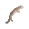 zoomgecko