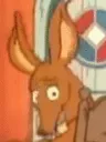 sniffnodjustthehead
