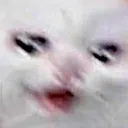 crycat