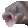 OOOO
