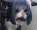 sadcat1