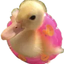 SisterLollyDuckie