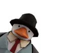 ducksuit