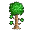 Terraria