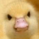 :duckyou: Discord Emote