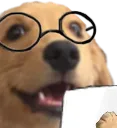 WoweeStudy