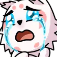 no1CRY