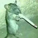 rat_with_dart2