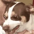 misterbubz misterbubz