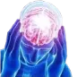 bigbrain