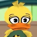 NWquackity