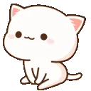 zcatwait