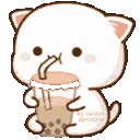 bobaa bobaa