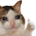 yougud