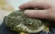 froge froge
