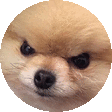 AngeryBOYEspin Discord emoji