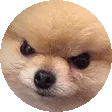 AngeryBOYEspin