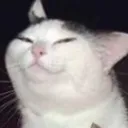 smug smug