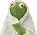 ACOSP_cozykermit