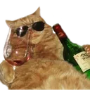 cat_wine_cc cat_wine_cc