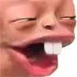 Pooga