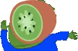 KiwiDance