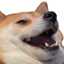 chibidoglul