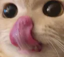 D2S_C_mlem