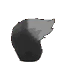 wolftail