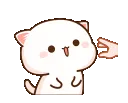 PI_kittypinch PI_kittypinch