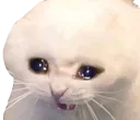 sadboy