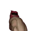 Interncardo