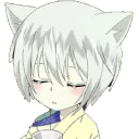 AA_Tomoe_Sip
