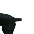 wolfex2Doggoback