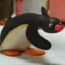 nootnoot