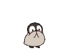 hnspenguloveOwO