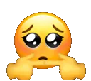 d_shy